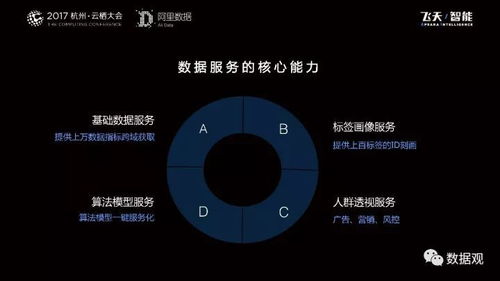 阿里數(shù)據(jù)服務產品開發(fā)及大數(shù)據(jù)體系實錄